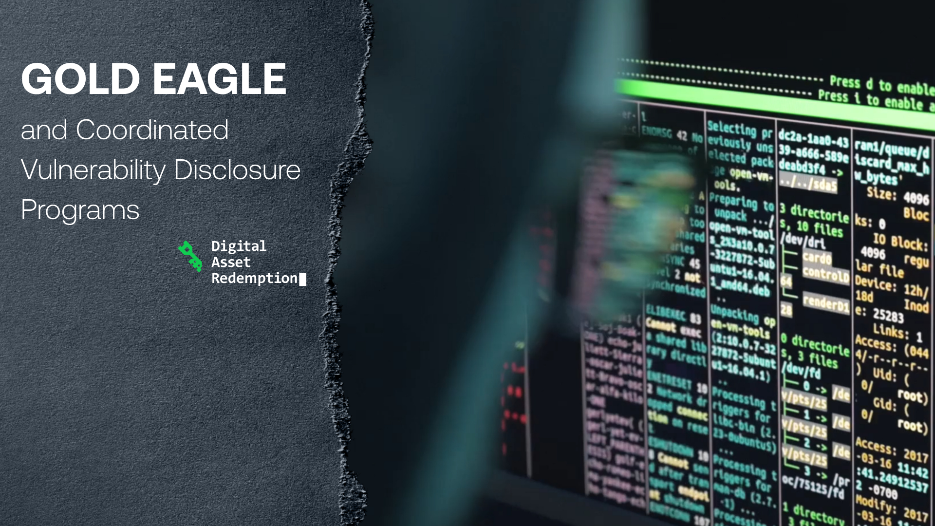 GOLD EAGLE and Coordinated Vulnerability Disclosure Programs(1)